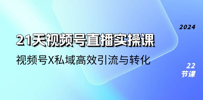 (10966期)21天-视频号直播实操课,视频号X私域高效引流与转化(22节课)众成网-学无止境-中创网zibi