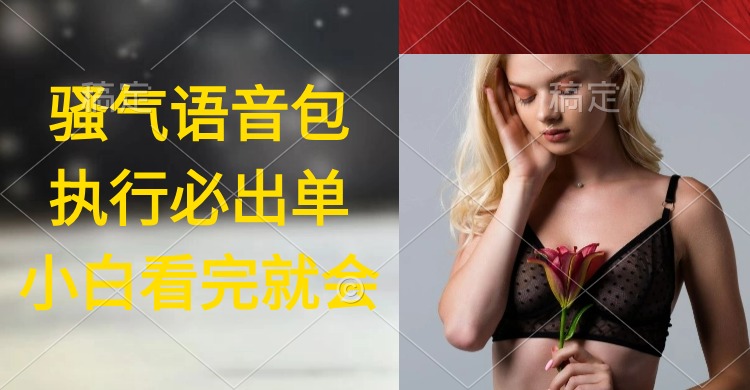 （9589期）执行就出单，日入2000+，超火骚气语音包，小白看完课程就能马上实操众成网-学无止境-中创网zibi