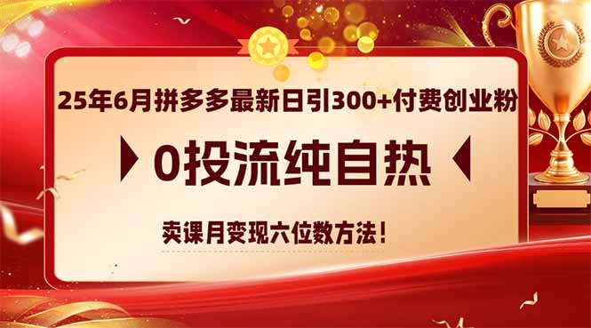 (14989期)25年6月拼多多最新日引300+付费创业粉,0投流纯自热 卖课月变现六位数方法众成网-学无止境-中创网zibi