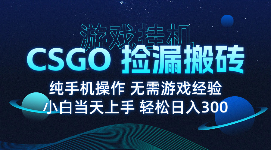 (15820期)8月最新游戏搬砖,CSGO纯挂机,不需要玩游戏,实现真挂机,月入1W+众成网-学无止境-中创网zibi