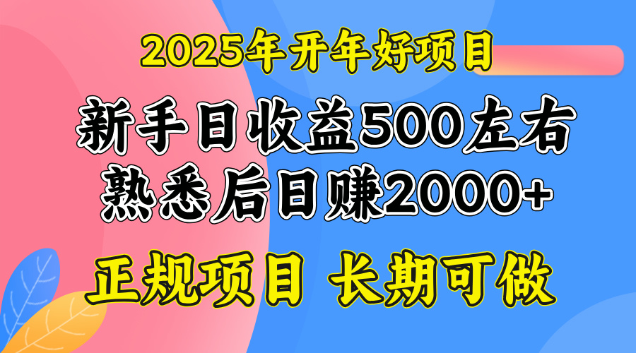 （14076期）2025开年好项目，单号日收益2000左右众成网-学无止境-中创网zibi