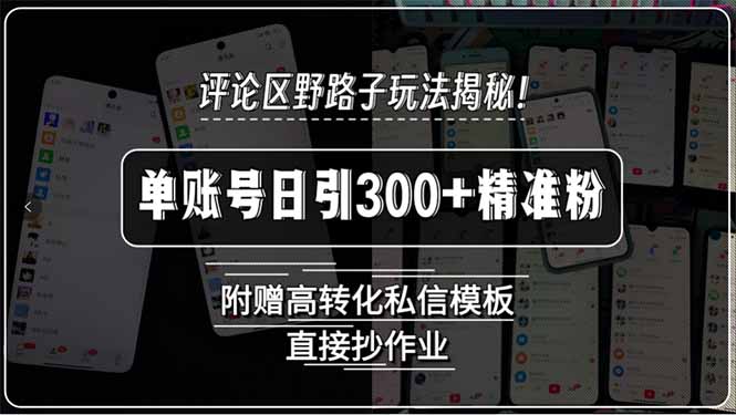 (15466期)评论区野路子玩法揭秘!单账号日引300+精准粉,附赠高转化私信模板,直...众成网-学无止境-中创网zibi
