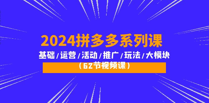 （10019期）2024拼多多系列课：基础/运营/活动/推广/玩法/大模块（62节视频课）众成网-学无止境-中创网zibi