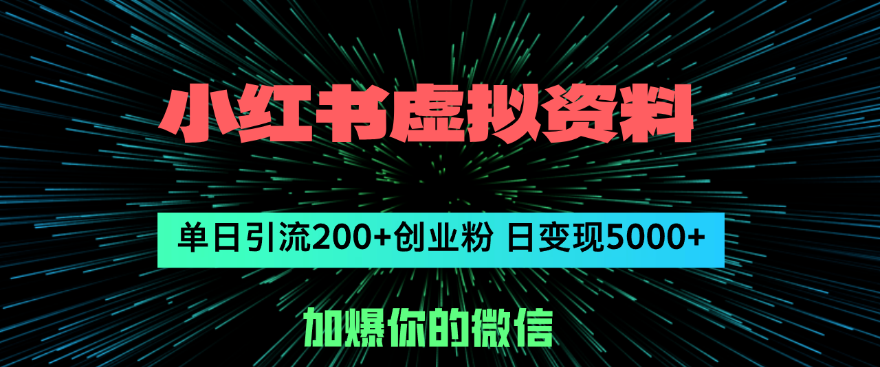 (12164期)小红书虚拟资料日引流200+创业粉,单日变现5000+众成网-学无止境-中创网zibi