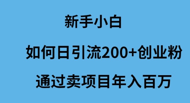 （9668期）新手小白如何日引流200+创业粉通过卖项目年入百万众成网-学无止境-中创网zibi