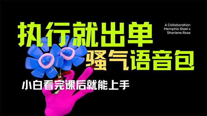 （14170期）爆火全网的开车导航骚气语音包,只要执行就出单，小白看完课程就能实操...众成网-学无止境-中创网zibi