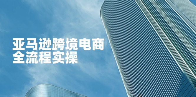 (14252期)亚马逊跨境电商全流程实操,教你从零开始,掌握店铺运营与广告技巧众成网-学无止境-中创网zibi