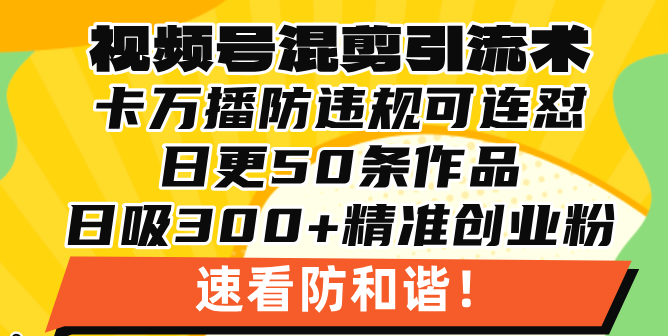(13400期)视频号混剪引流技术,500万播放引流17000创业粉,操作简单当天学会众成网-学无止境-中创网zibi