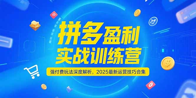 （15183期）拼多多盈利实战训练营，强付费玩法深度解析，2025运营技巧合集-更新6月众成网-学无止境-中创网zibi