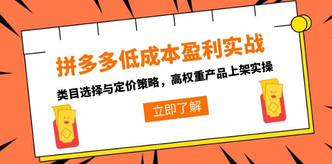 (15143期)拼多多低成本盈利实战,类目选择与定价策略,高权重产品上架实操众成网-学无止境-中创网zibi