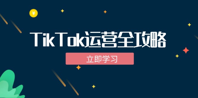 （12739期）TikTok实战运营全攻略：从下载软件到变现，抖音海外版实操教程众成网-学无止境-中创网zibi