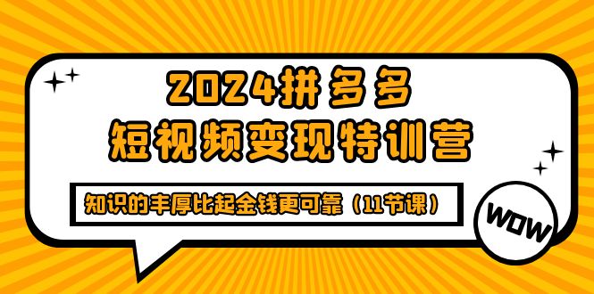 (9817期)2024拼多多短视频变现特训营,知识的丰厚比起金钱更可靠(11节课)众成网-学无止境-中创网zibi